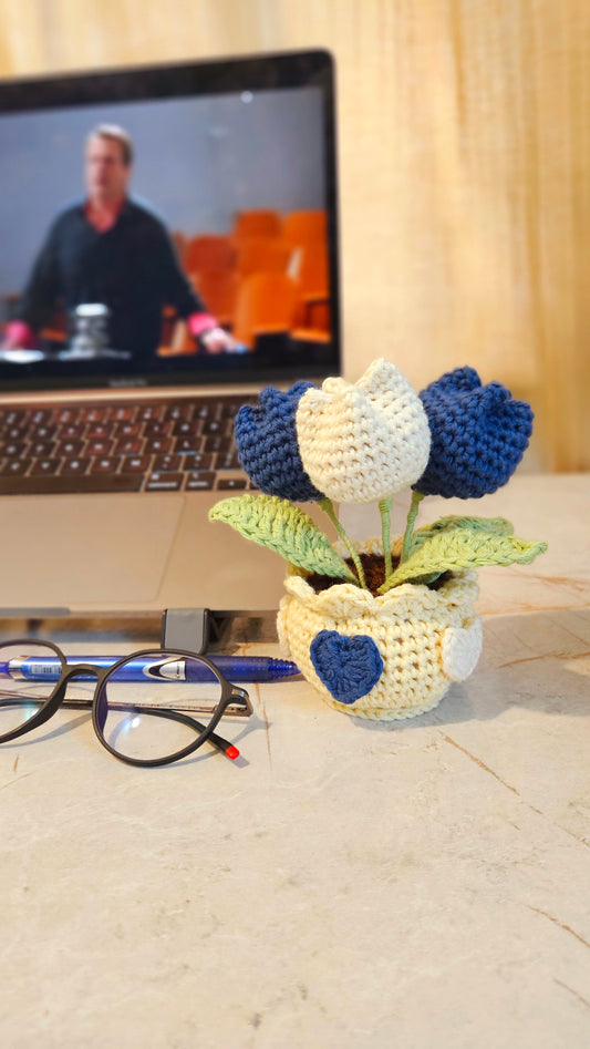 3 tulip pot